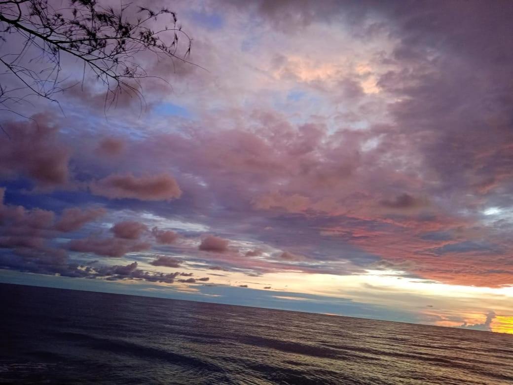 Enocean Homestay Cherai Beach Buitenkant foto