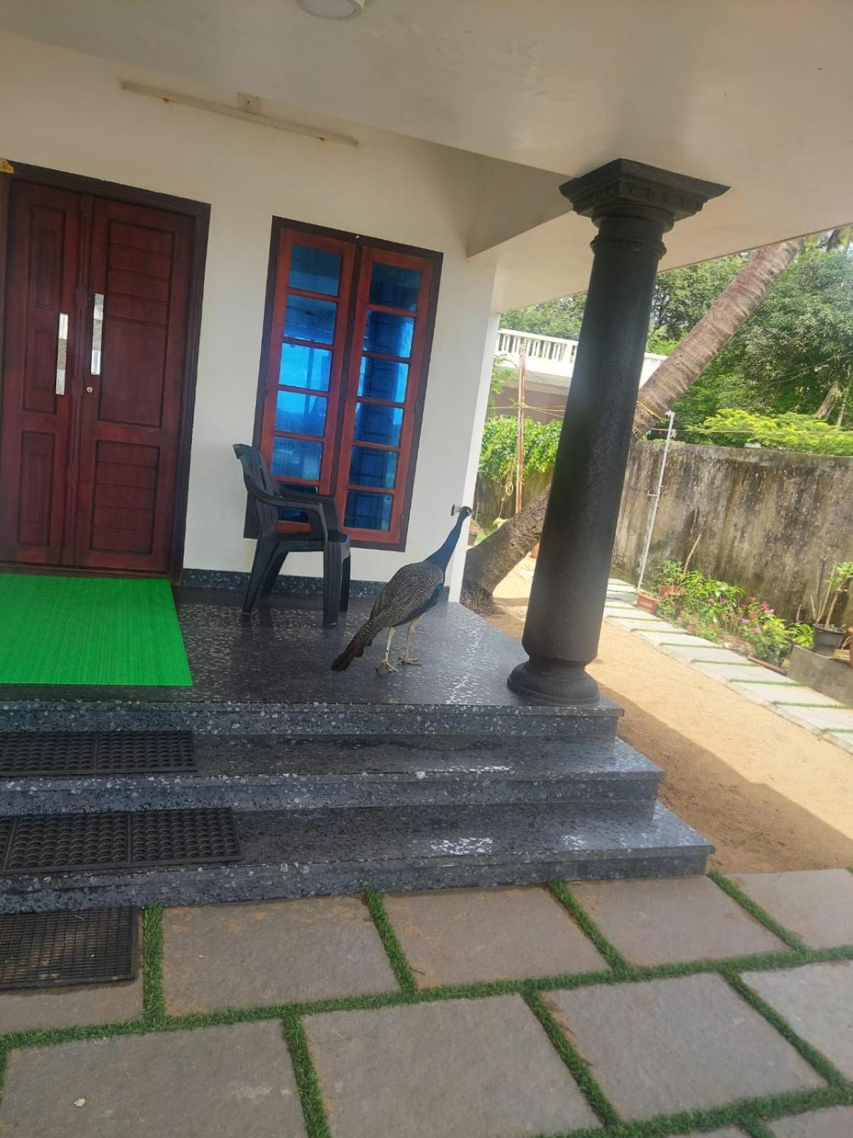 Enocean Homestay Cherai Beach Buitenkant foto